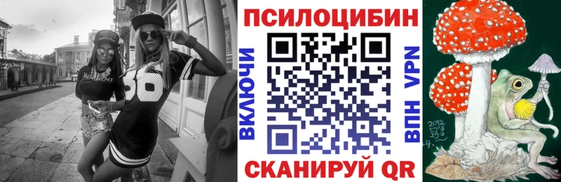 Купить  Льгов  Галлюциногенные грибы мицелий 