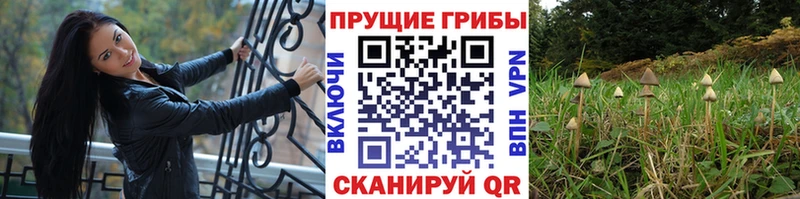 Галлюциногенные грибы GOLDEN TEACHER Льгов
